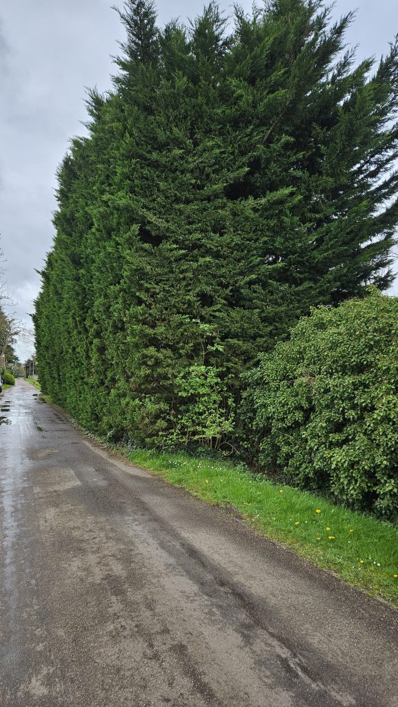 Route des Grands Coins