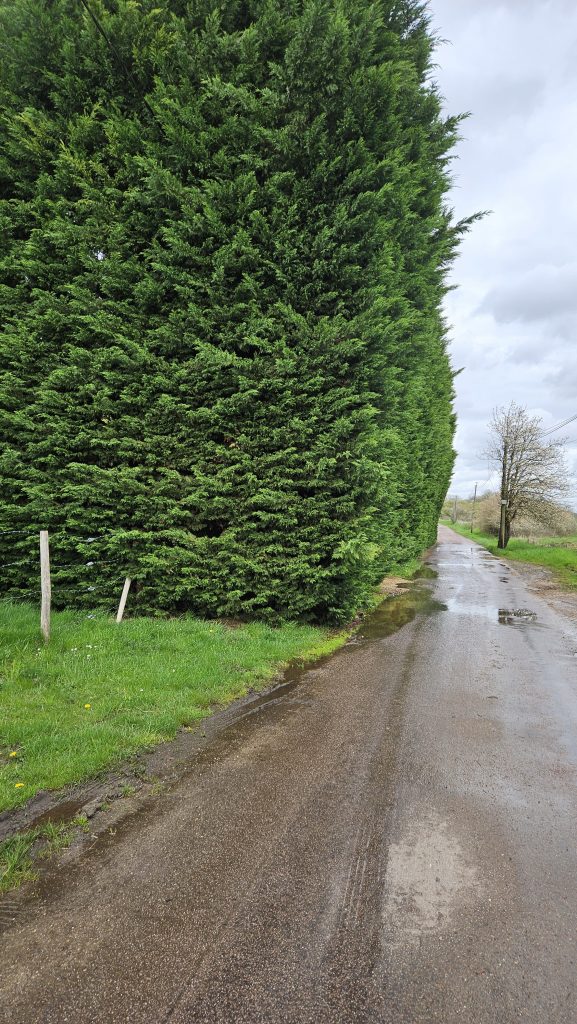 Route des Grands Coins