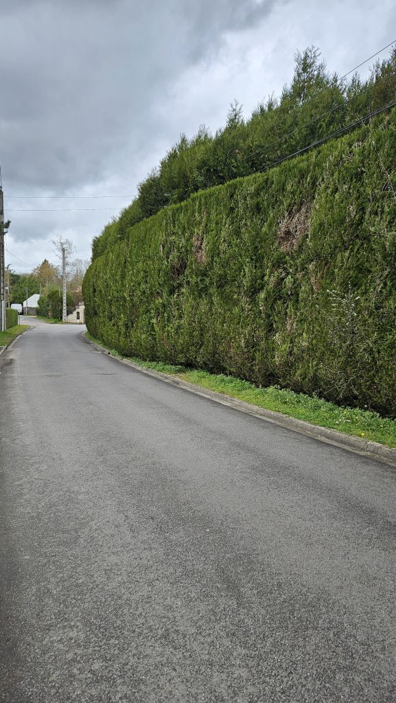 Route Mare aux Chiens