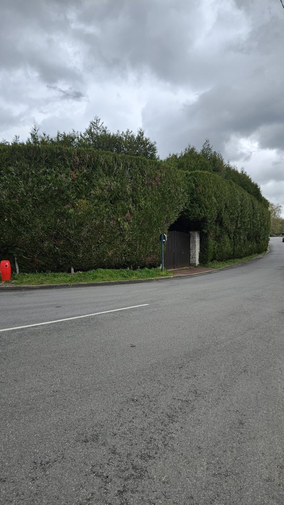 Route Mare aux Chiens